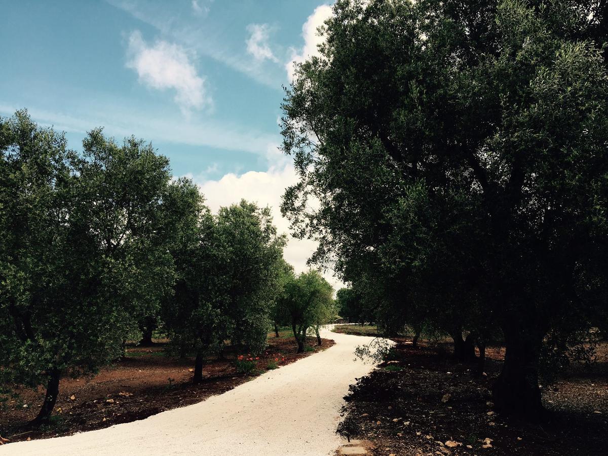 Fikus - the Apulian B&B Ceglie Messapica Bagian luar foto